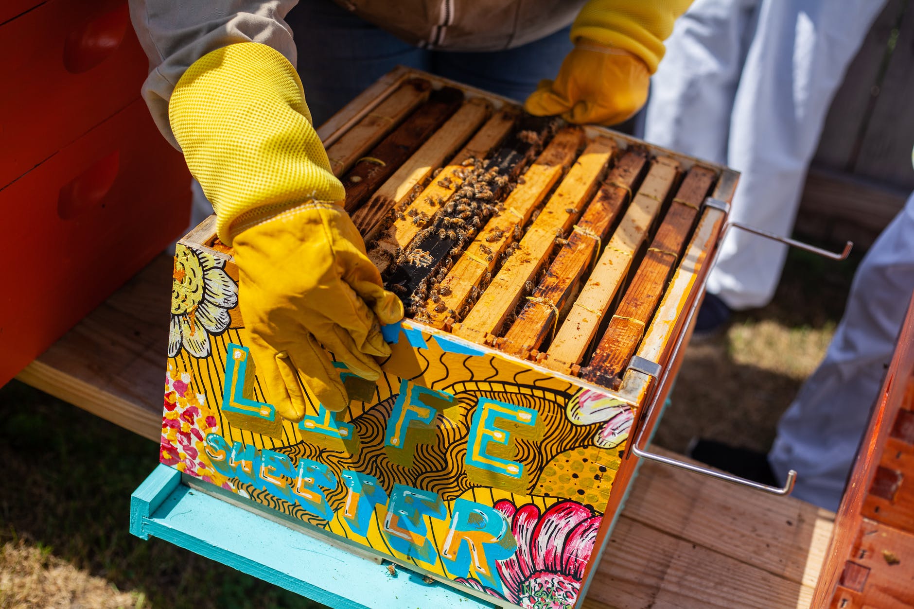 beekeeping tools and equipment