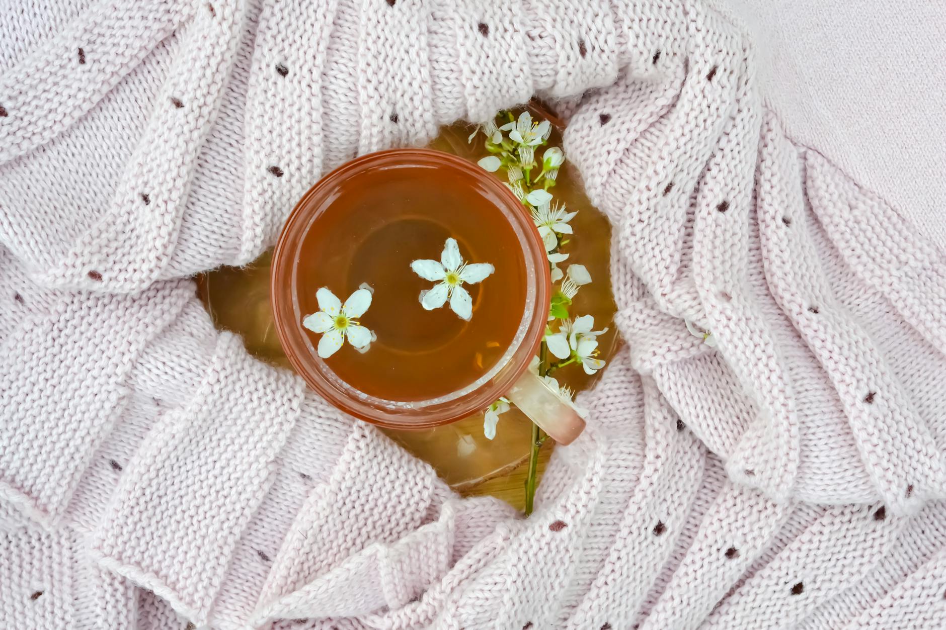 Best Honey for Chamomile Tea 1 a chamomile tea near the knitted sweater